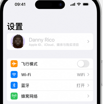 通许appleID维修服务iPhone设置中Apple ID显示为灰色无法使用 