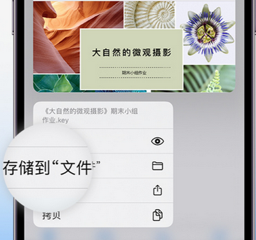 通许apple维修中心分享iPhone文件应用中存储和找到下载文件