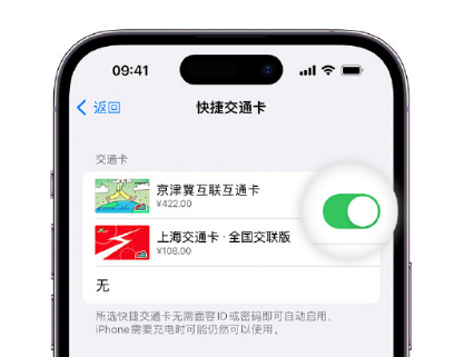 通许apple维修点分享iPhone上更换Apple Pay快捷交通卡手绘卡面 