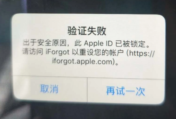 通许iPhone维修分享iPhone上正常登录或使用AppleID怎么办 