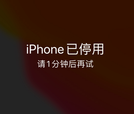 通许苹果手机维修分享:iPhone 显示“不可用”或“已停用”怎么办？还能保留数据吗？ 