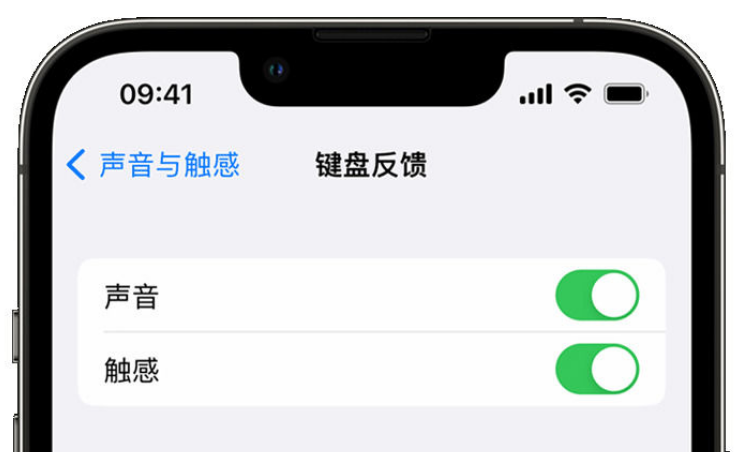 通许苹果手机维修分享iPhone 14触感键盘使用方法 