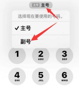 通许苹果14维修店分享iPhone 14 Pro Max使用副卡打电话的方法 