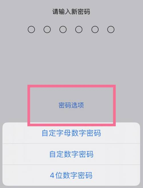 通许苹果14维修分享iPhone 14plus设置密码的方法 