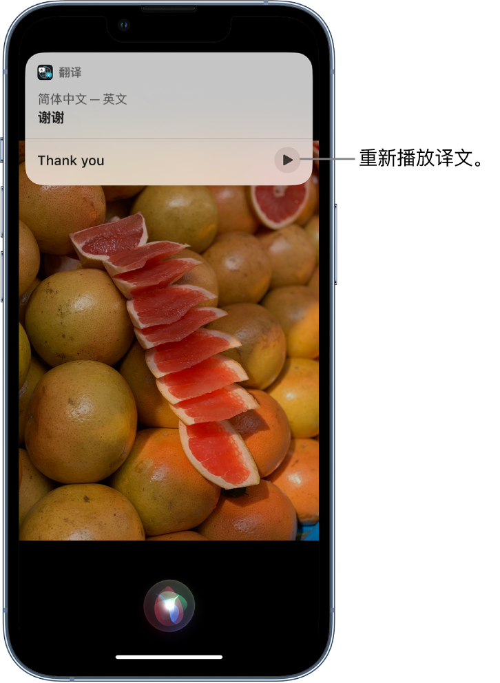 通许苹果14维修分享 iPhone 14 机型中使用 Siri：了解 Siri 能帮你做什么 