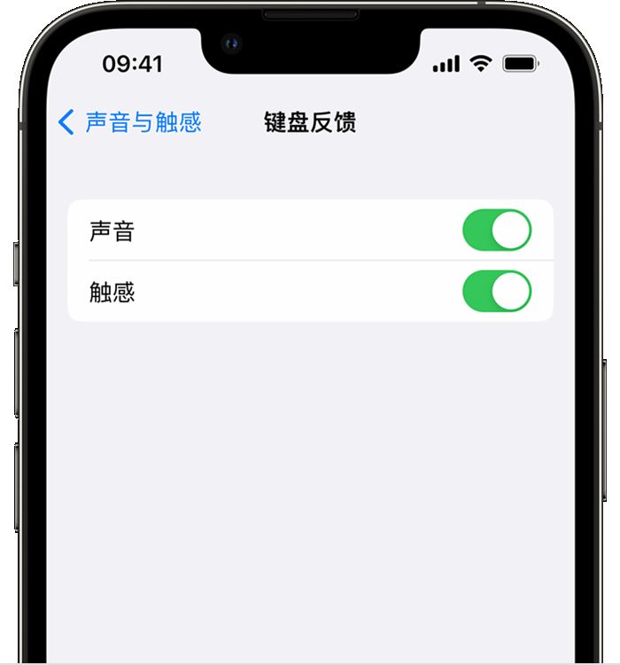 通许苹果14维修分享iPhone 14 系列机型如何开启键盘声音或触感反馈 