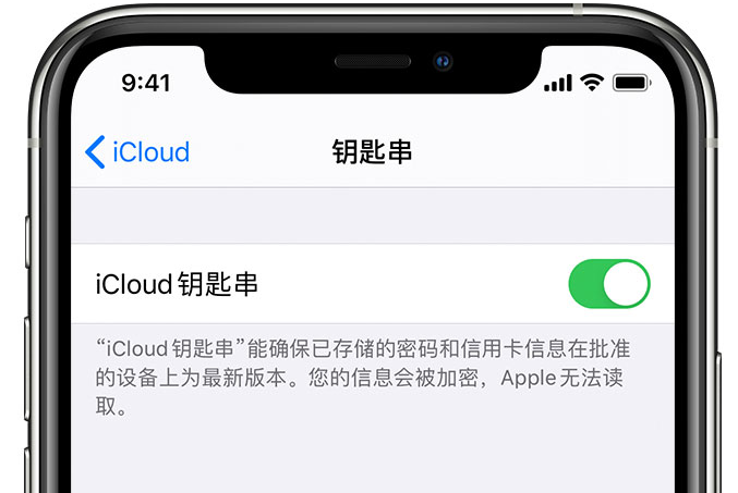 通许苹果手机维修分享在 iPhone 上开启 iCloud 钥匙串之后会储存哪些信息 