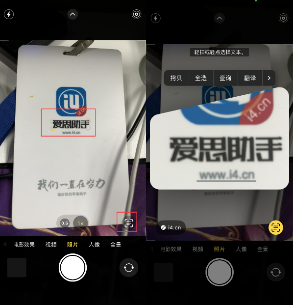 通许苹果手机维修分享升级iOS 16后如何通过相机翻译文本 