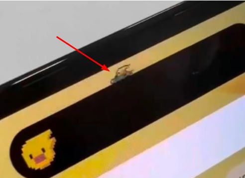 通许苹果14维修分享iPhone 14 Pro Max灵动岛怎么养宠物 
