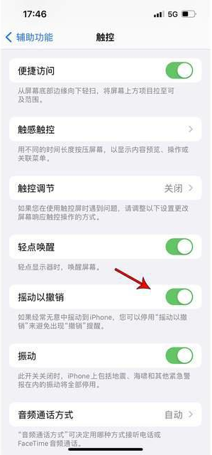 通许苹果手机维修分享iPhone手机如何设置摇一摇删除文字 