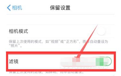 通许苹果13维修分享iPhone13拍照有绿点是怎么回事 