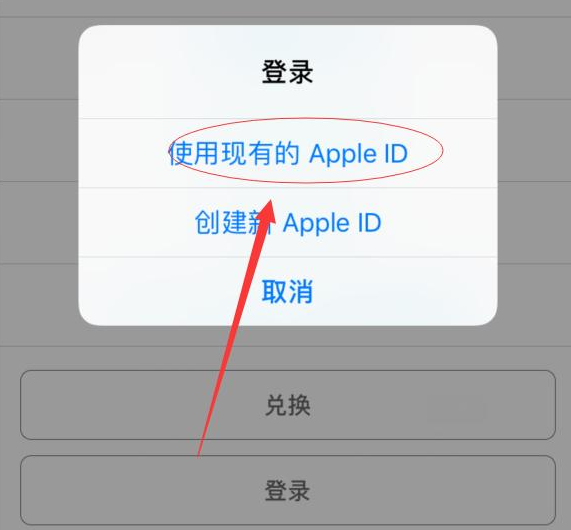 通许苹果手机维修分享两台iPhone设备可以同时登录一个Apple ID吗 